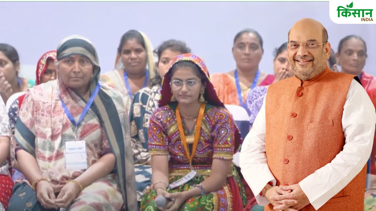 सहकारिता से महिलाओं को मिला संबल, अब कर रहीं अच्छी कमाई