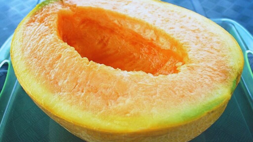 King Melon (22 लाख का खरबूजा): जापान में उगाया जाने वाला ये मेलन अपने रस, मिठास और सुगंध के लिए नहीं, बल्कि 22 लाख की कीमत के लिए मशहूर है. अमीर लोग इसे गिफ्ट में देते हैं. King Melon (22 लाख का खरबूजा): जापान में उगाया जाने वाला ये मेलन अपने रस, मिठास और सुगंध के लिए नहीं, बल्कि 22 लाख की कीमत के लिए मशहूर है. अमीर लोग इसे गिफ्ट में देते हैं.