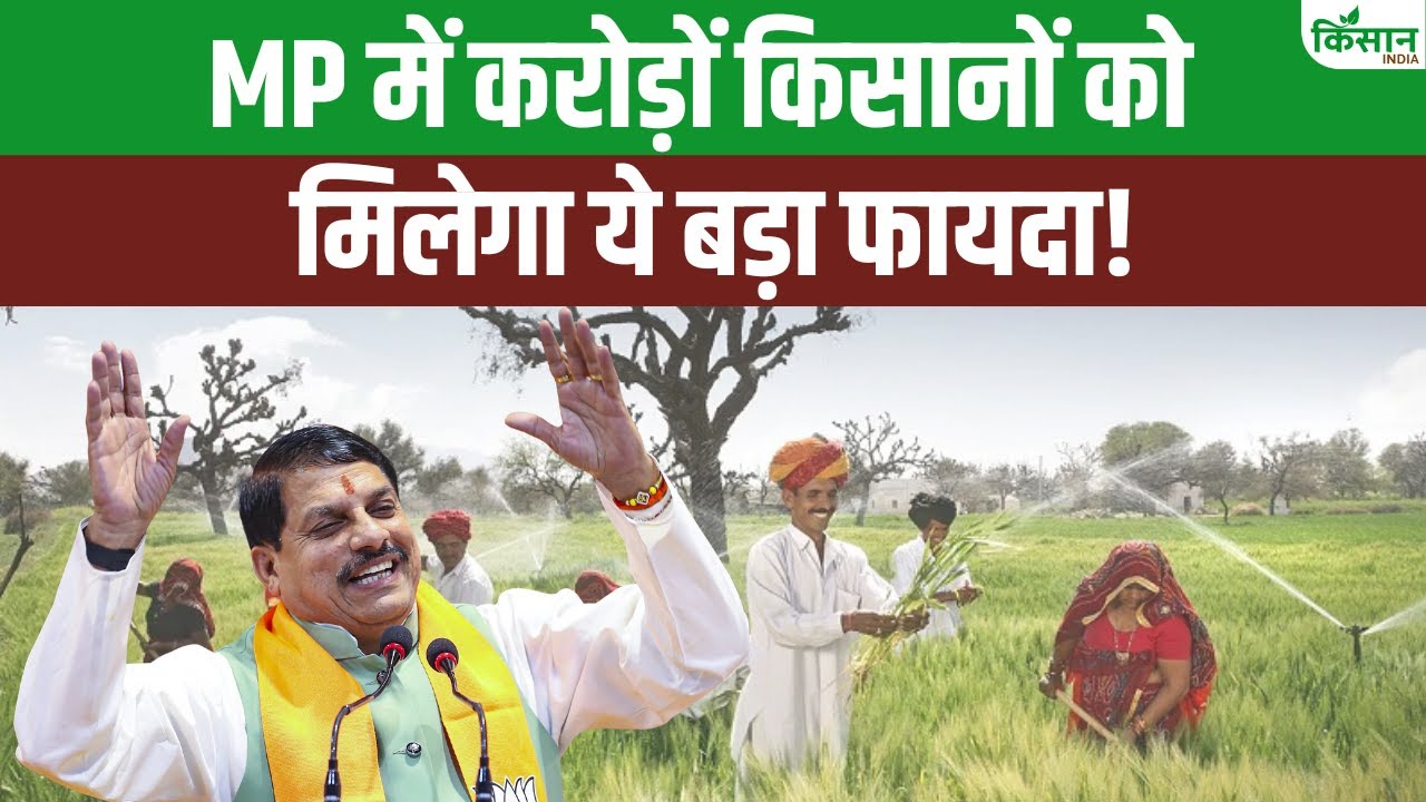 बीहड़ के जंगलों में लगेंगे सोलर प्लांट, सीएम मोहन यादव ने किया बड़ा ऐलान
