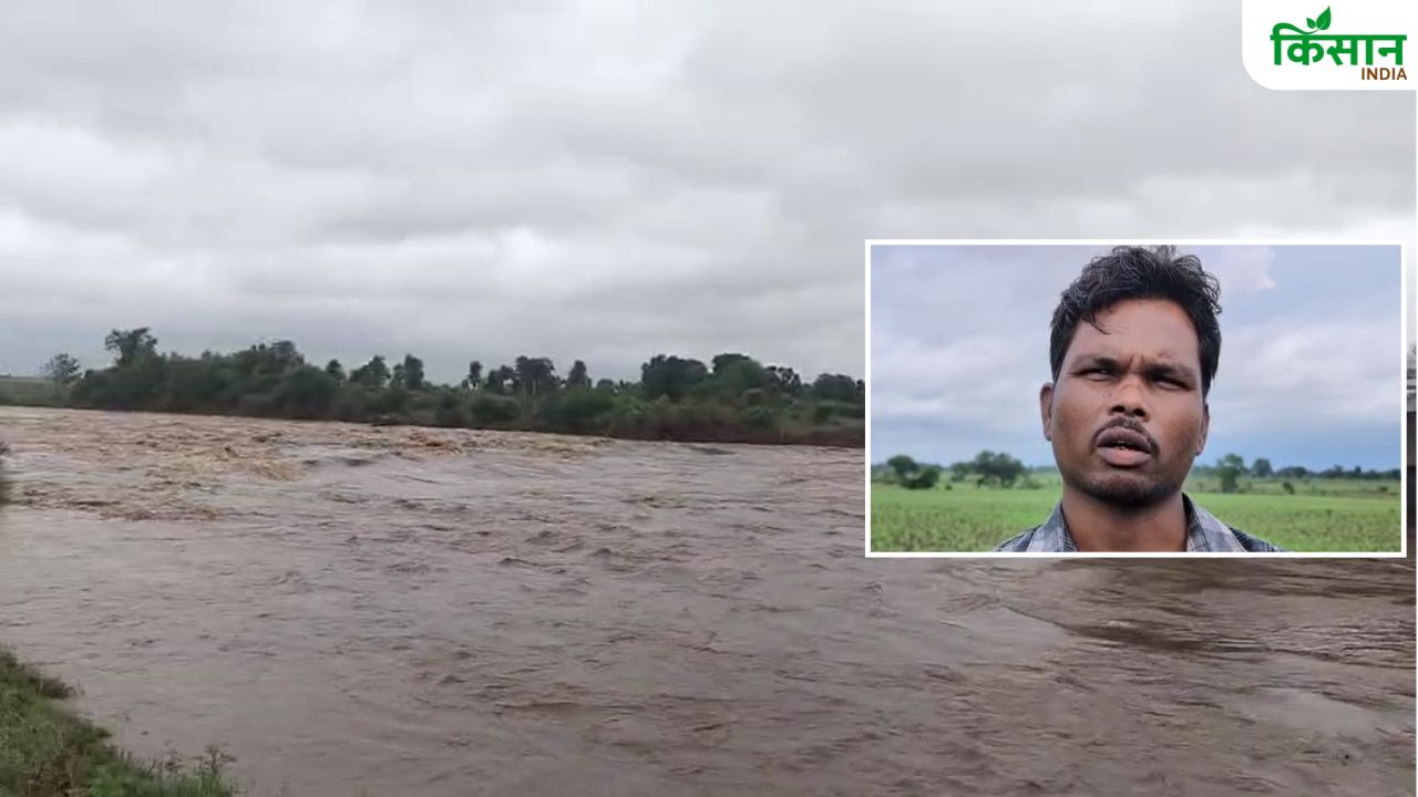 नदियों की बाढ़ किसानों के लिए बनी आफत, पौधा बनने से पहले ही खेत से बह गए बीज