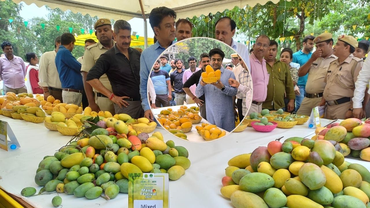 मैंगो फेस्टिवल में आया 2.5 किलो का आम, 500 से ज्यादा देसी-विदेशी किस्मों का प्रदर्शन