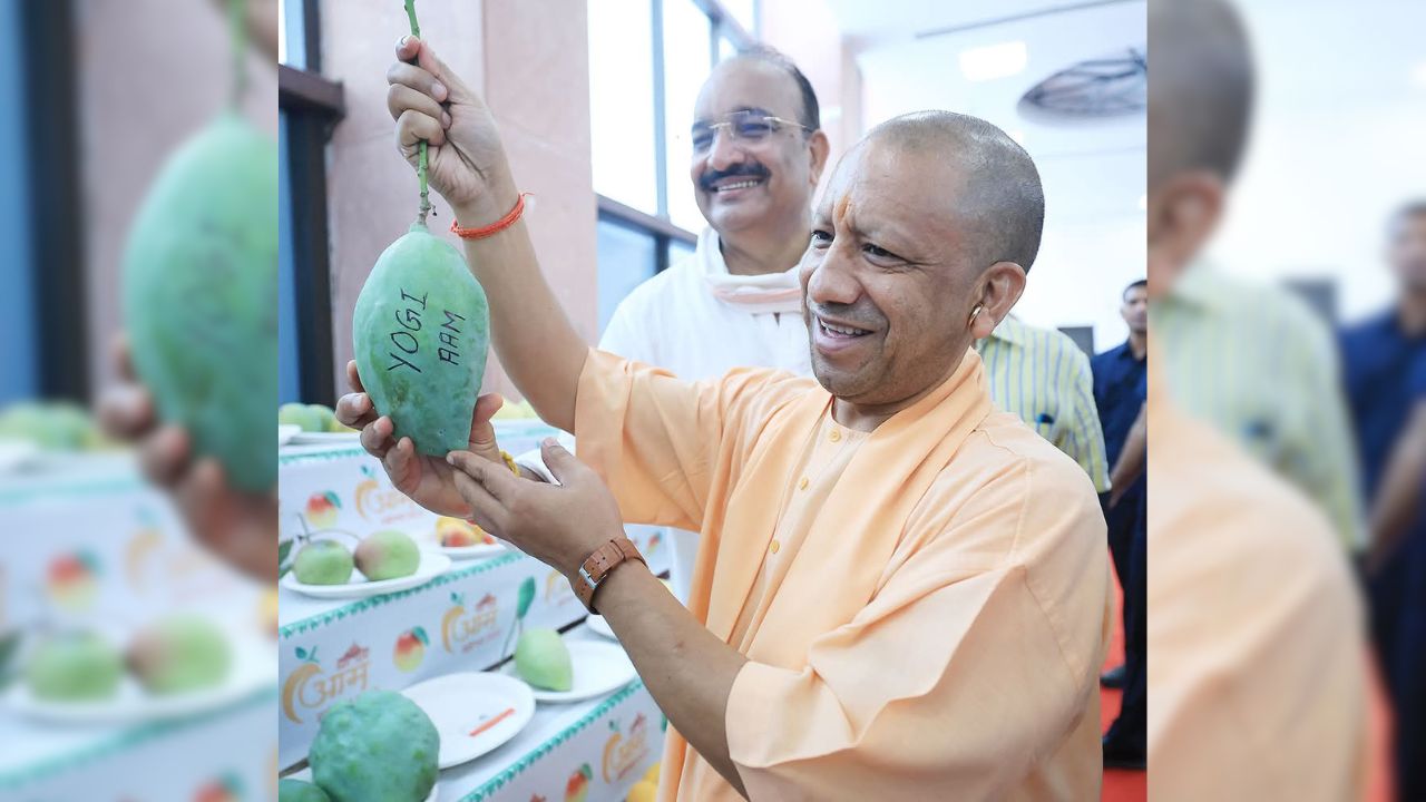 लखनऊ में लगा आमों का मेला! 800 से ज्यादा किस्मों की हुई भव्य प्रदर्शनी, देख दंग रह गए लोग