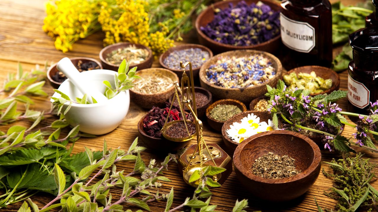 औषधीय गुणों की खान हैं ये Herbs, जानें घर में लगाने का तरीका.. पाएं स्वाद के साथ सेहत भी!