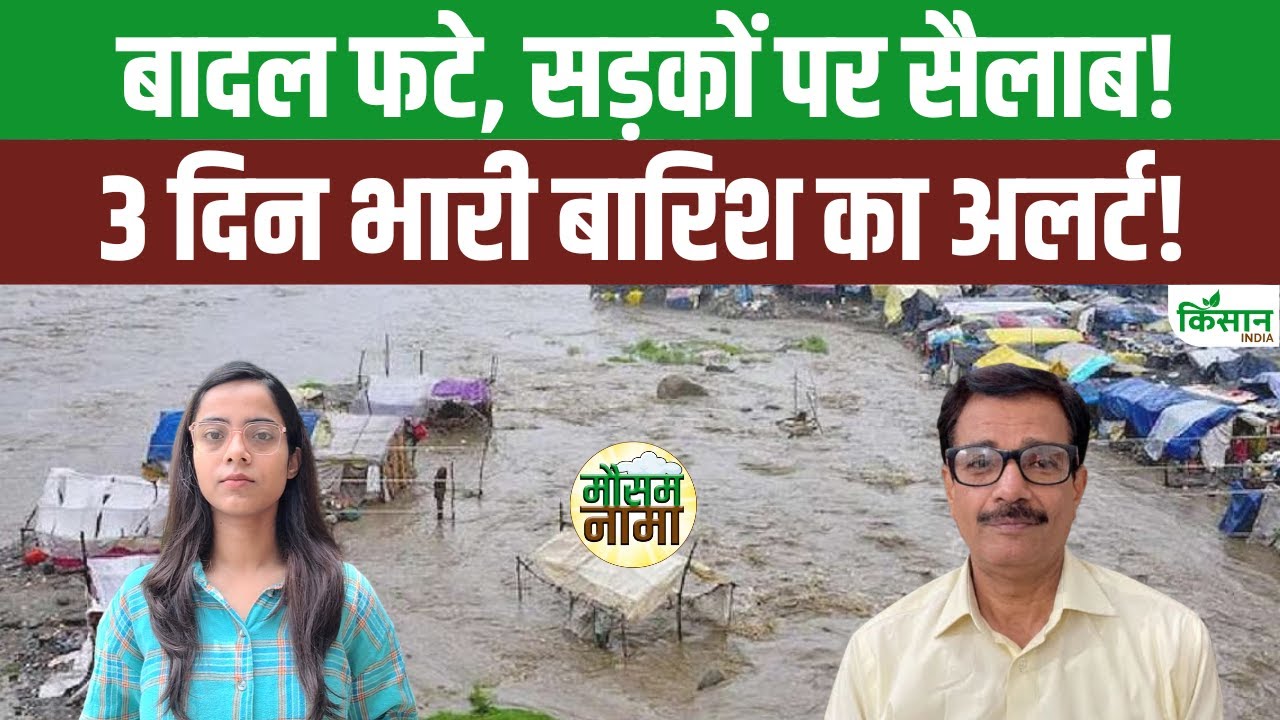 मॉनसून ने पकड़ी तेज रफ्तार, MP-राजस्थान समेत कई राज्यों में भारी बारिश का अलर्ट
