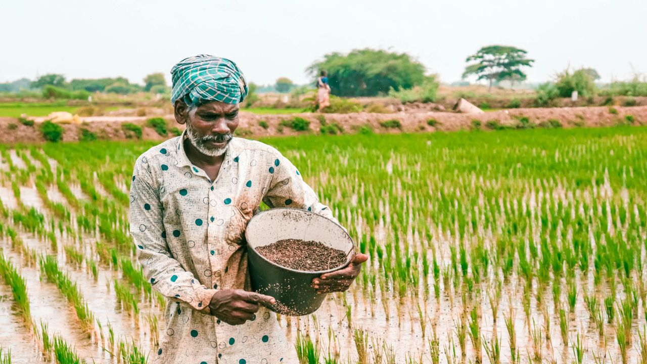 PM Kisan की 20वीं किस्त से पहले मोदी सरकार का बड़ा गिफ्ट, ‘PM धन धान्य कृषि योजना’ को मंजूरी