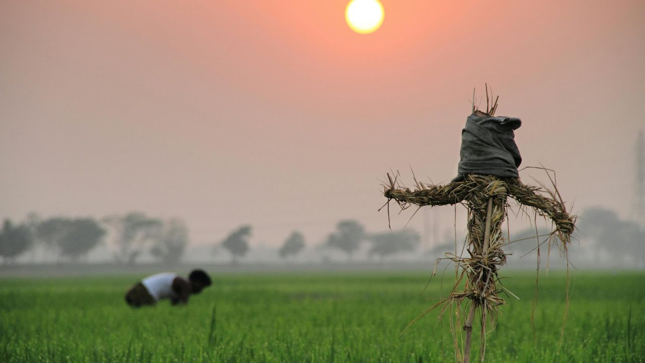 भूमि अधिग्रहण पर पंजाब सरकार का बड़ा फैसला, बढ़ाई मुआवजा राशि.. किसानों के लिए ये खास सुविधा