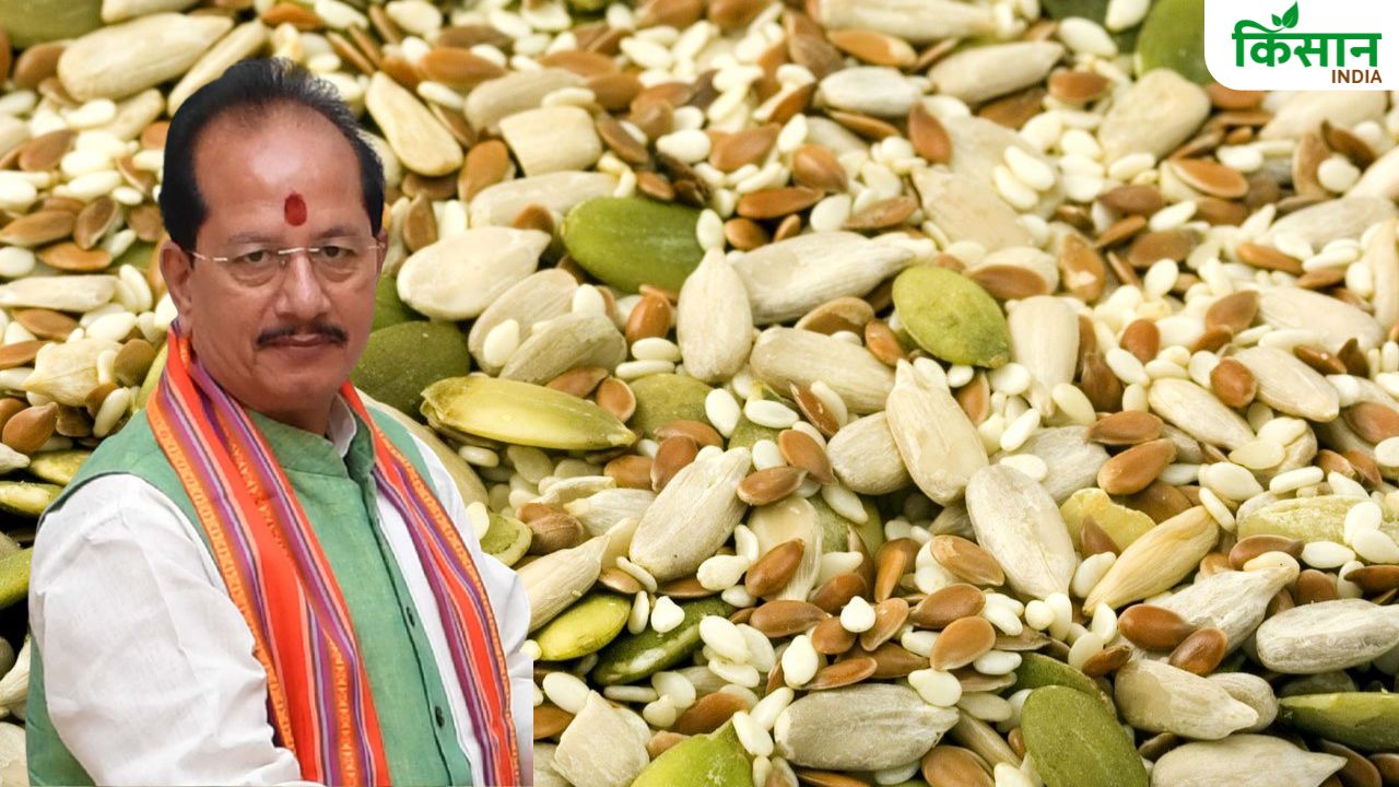 बेस्ट क्वालिटी के बीज देना सरकार का लक्ष्य, रबी फसलों के 2.30 लाख क्विंटल बीज स्टोर