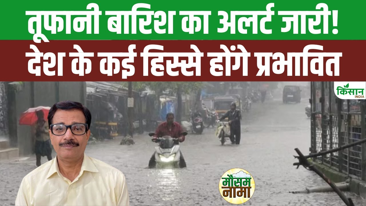 मौसम विभाग ने जारी किया तूफानी बारिश का अलर्ट, 50 किलोमीटर प्रति घंटे की रफ्तार से हवा चलने की संभावना