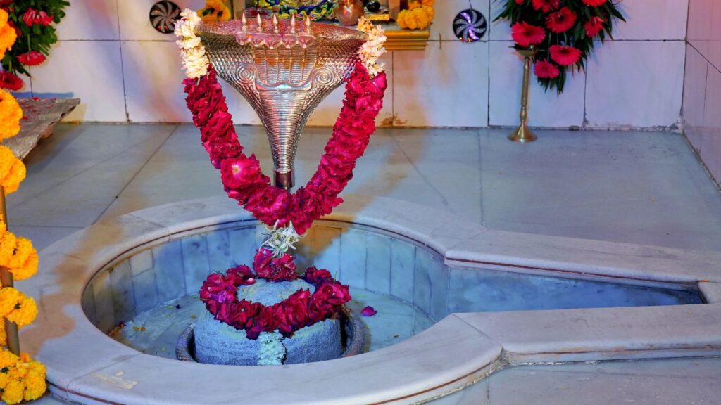 16 जुलाई को सूर्य देव मिथुन से कर्क राशि में प्रवेश करेंगे. इसी के साथ उत्तरायण से दक्षिणायन का आरंभ होगा. इसे देवताओं की रात्रि का आरंभ माना जाता है और धार्मिक दृष्टिकोण से यह समय साधना, भक्ति और आत्मशुद्धि के लिए अत्यंत उपयुक्त होता है. 16 जुलाई को सूर्य देव मिथुन से कर्क राशि में प्रवेश करेंगे. इसी के साथ उत्तरायण से दक्षिणायन का आरंभ होगा. इसे देवताओं की रात्रि का आरंभ माना जाता है और धार्मिक दृष्टिकोण से यह समय साधना, भक्ति और आत्मशुद्धि के लिए अत्यंत उपयुक्त होता है.