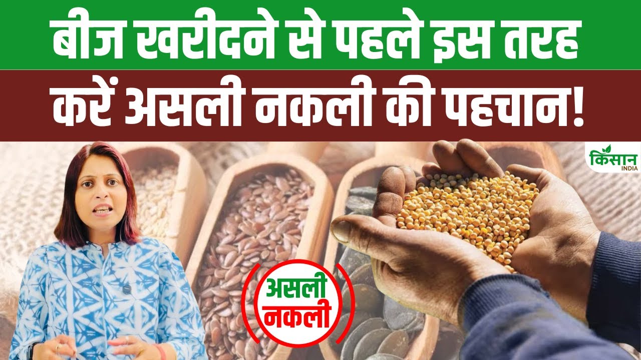 कहीं आप भी तो नहीं कर रहे नकली बीज का इस्तेमाल, इन तरीकों से करें असली की पहचान