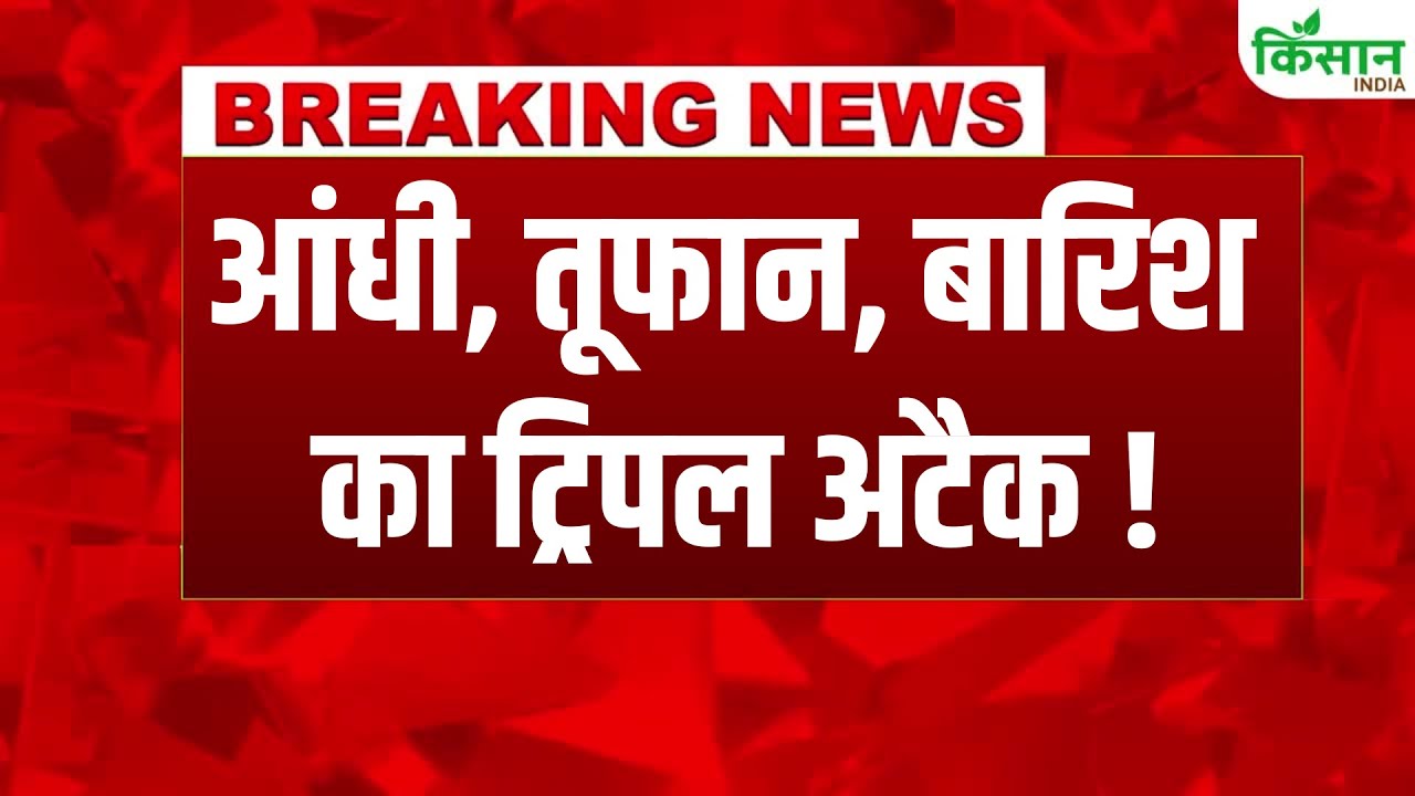 मौसम को लेकर IMD का बड़ा अपडेट, यूपी के 11 जिलों में भारी बारिश का अलर्ट