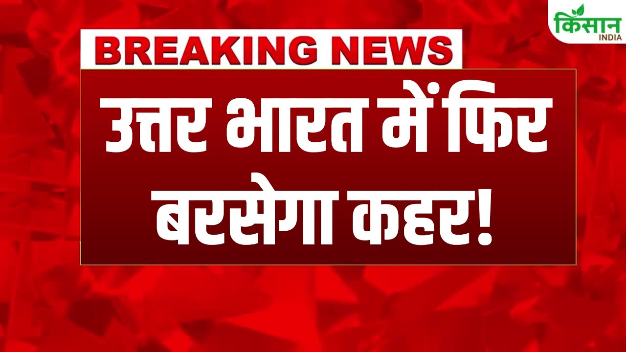उत्तर प्रदेश में मॉनसून ने पकड़ी रफ्तार, दिल्ली में भी 48 घंटों तक बारिश की संभावना