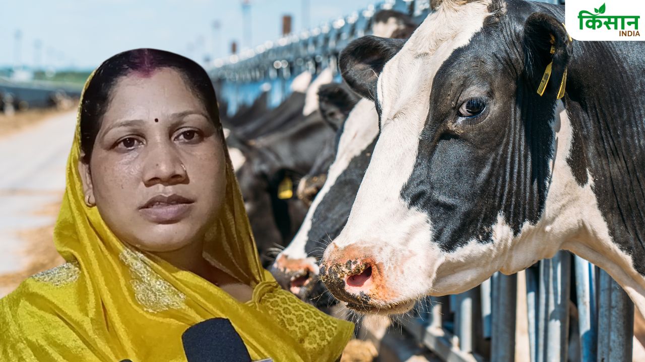राष्ट्रीय आजीविका मिशन से आत्मनिर्भर बनीं सुनीता जगत, खेती-किसानी से सालाना कमा रहीं 3 लाख रुपये