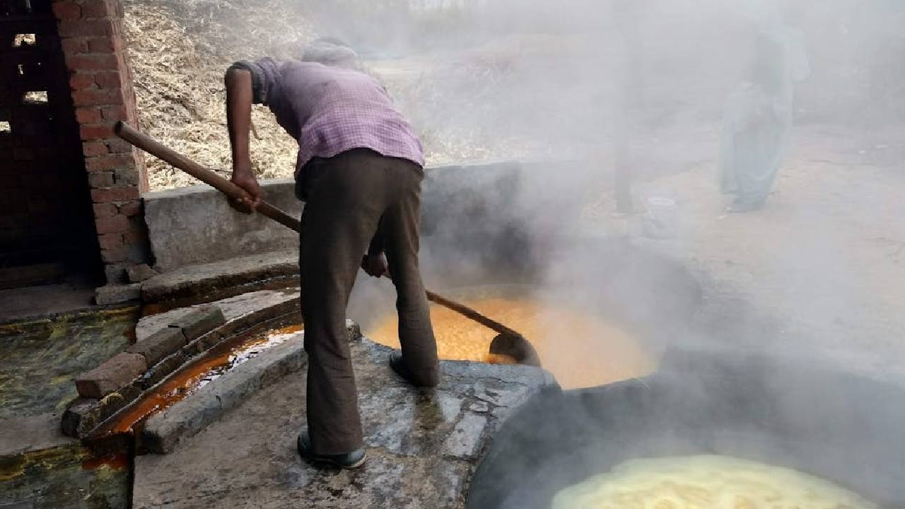 WHO REPORT: खेती से होने वाला प्रदूषण हर साल ले रहा है लाखों जानें