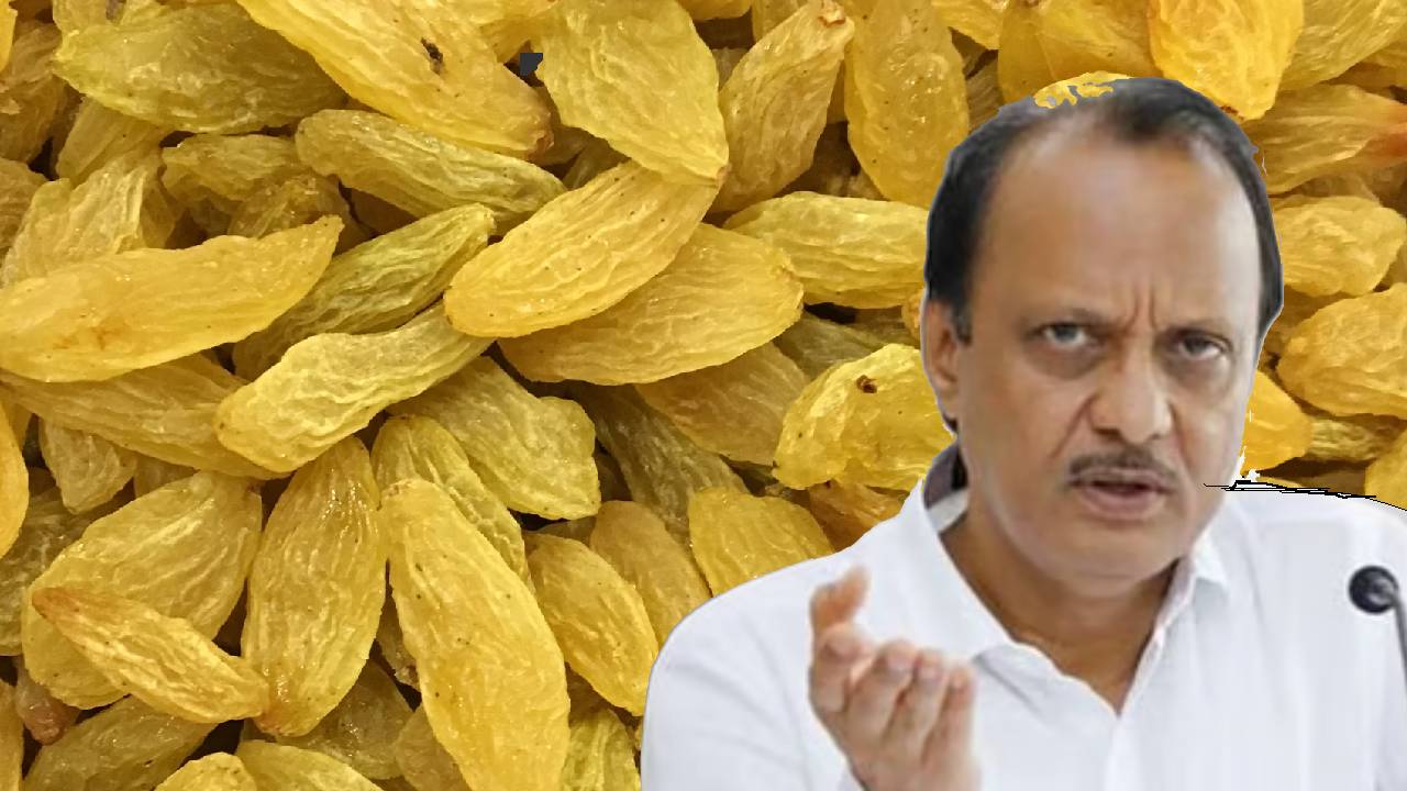 अजित पवार की केंद्र से मांग, चीन से घटिया किशमिश का आयात तुरंत रोके सरकार