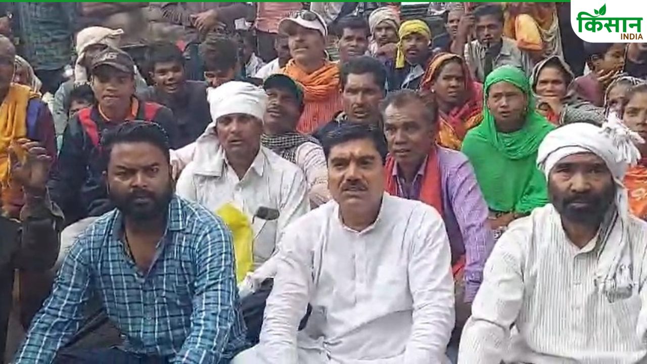 खाली हाथ लौटते-लौटते थक गए.. पुष्पराजगढ़ में किसानों का फूटा गुस्सा, विधायक भी धरने पर