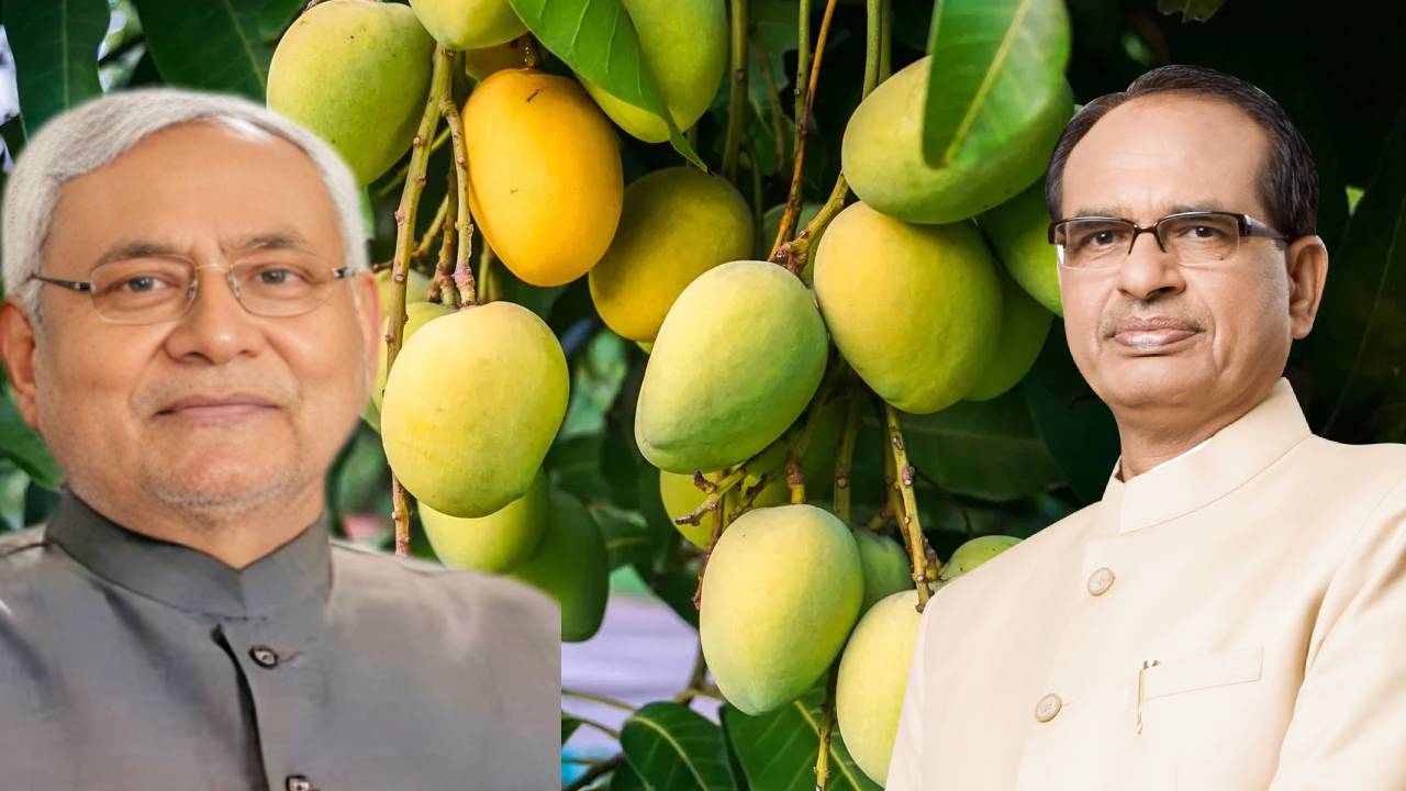 Bihar Election 2025: बिहार चुनाव से पहले बड़ा ऐलान, GI टैग वाली 7 खास फसलें ई-नाम प्लेटफॉर्म पर शामिल