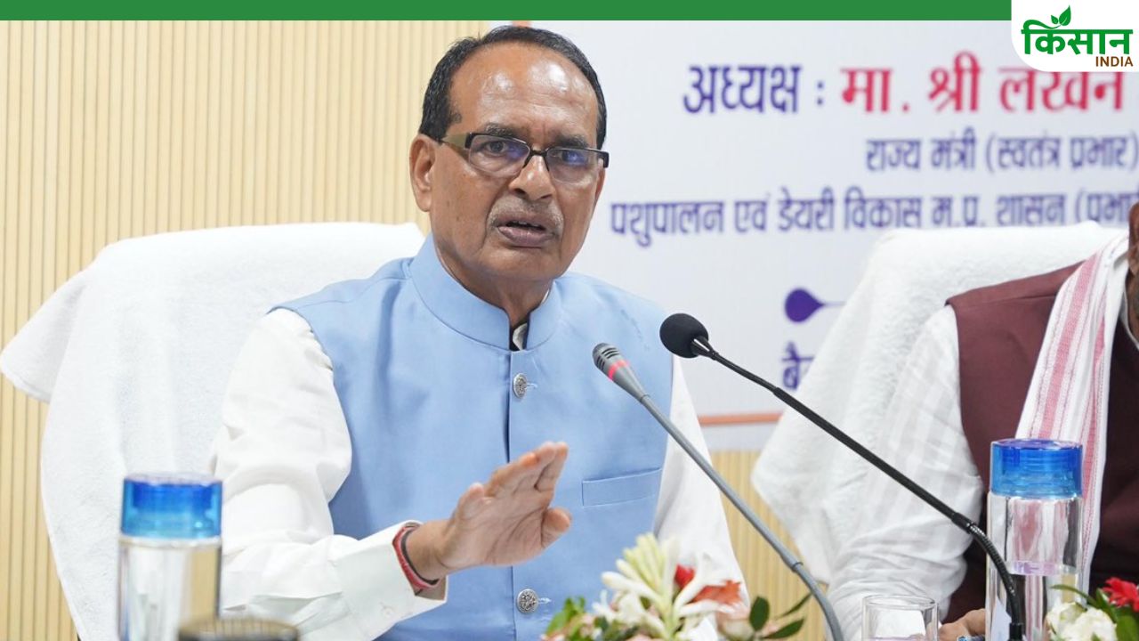 नकली और घटिया खाद को लेकर कृषि मंत्री का पारा चढ़ा, रिपोर्ट मांगी.. सभी राज्यों के सीएम को लिखी चिट्ठी