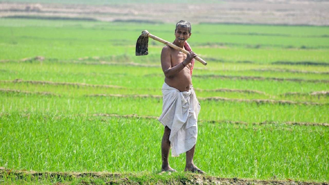 अप्रैल से जून के बीच 9.74 लाख टन DAP का आयात, केंद्र सरकार ने जारी किए आंकड़े