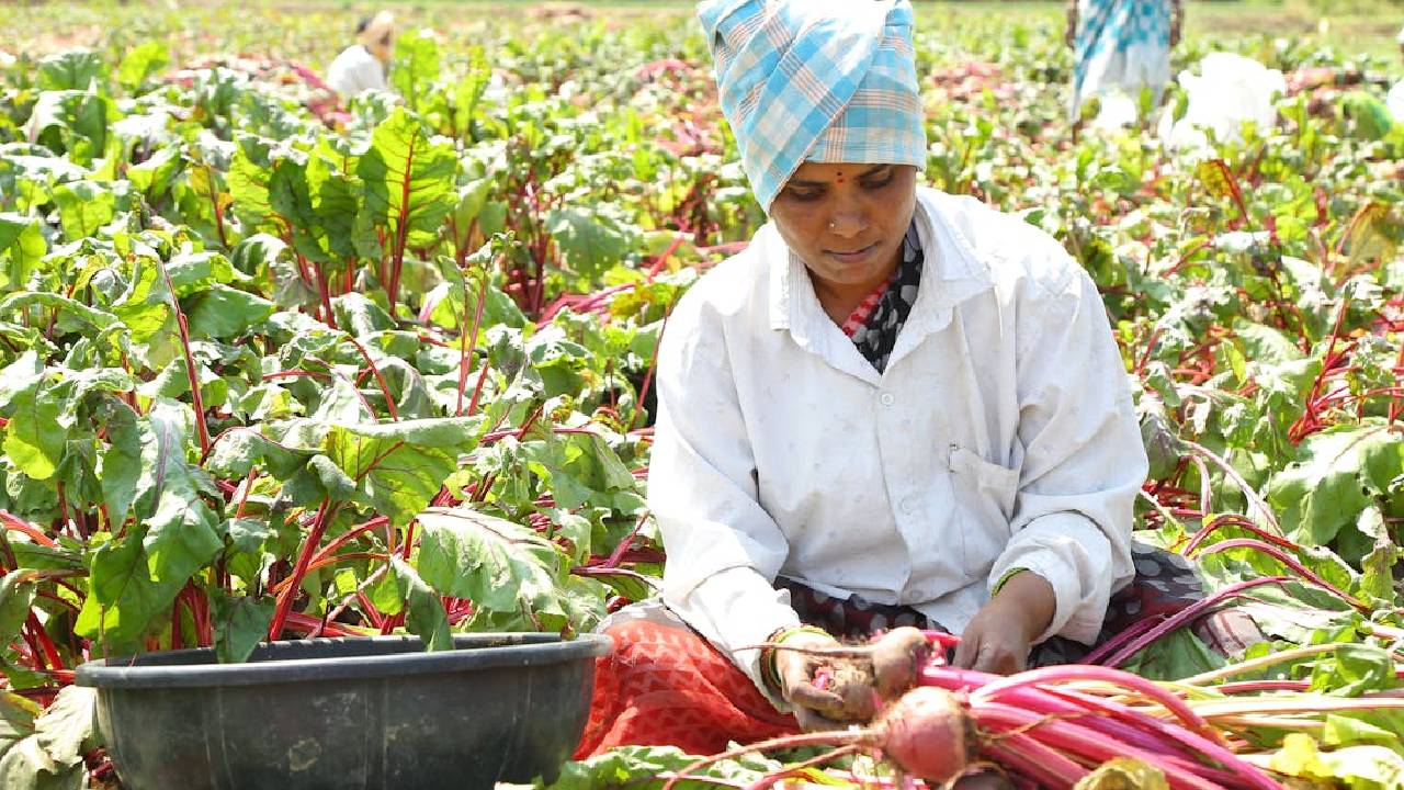 अब व्यापारी बिना सरकारी मंजूरी नहीं खरीद सकेंगे किसानों की फसल, जानिए कैबिनेट ने क्यों लिया ये फैसला