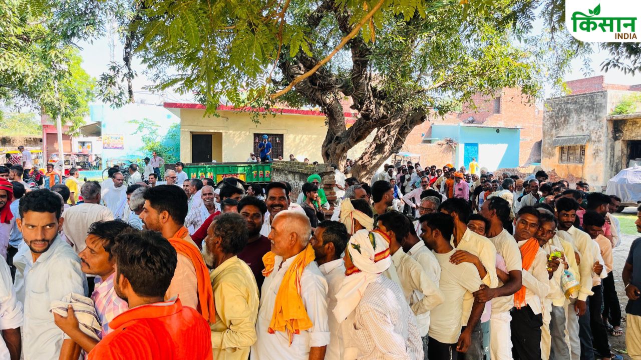 पिता यूरिया के लिए लाइन में, बेटा खेत में.. फिर भी नहीं मिल रही खाद! किसानों का टूटा हौसला