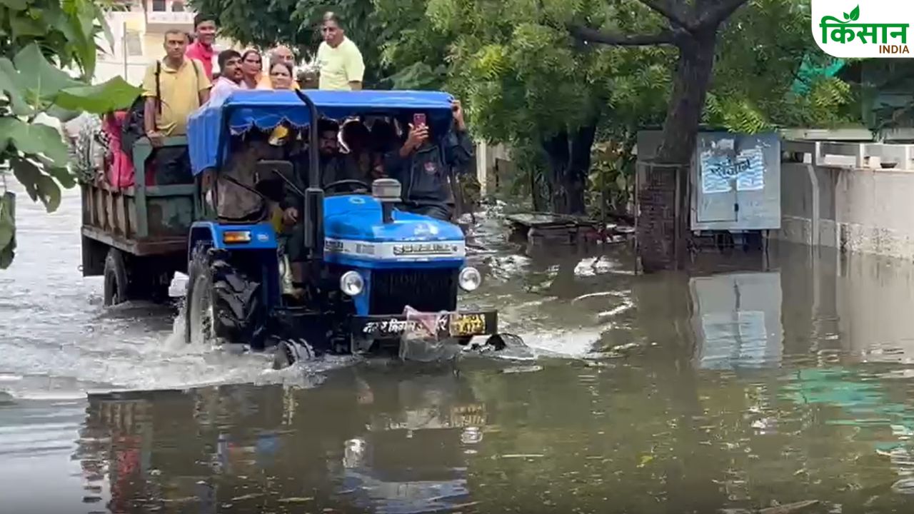 बाढ़ में मध्य प्रदेश के 123 गांव, पगारा बांध खुलने से धान-सोयाबीन फसलें डूबीं, पशुओं के लिए चारे का संकट