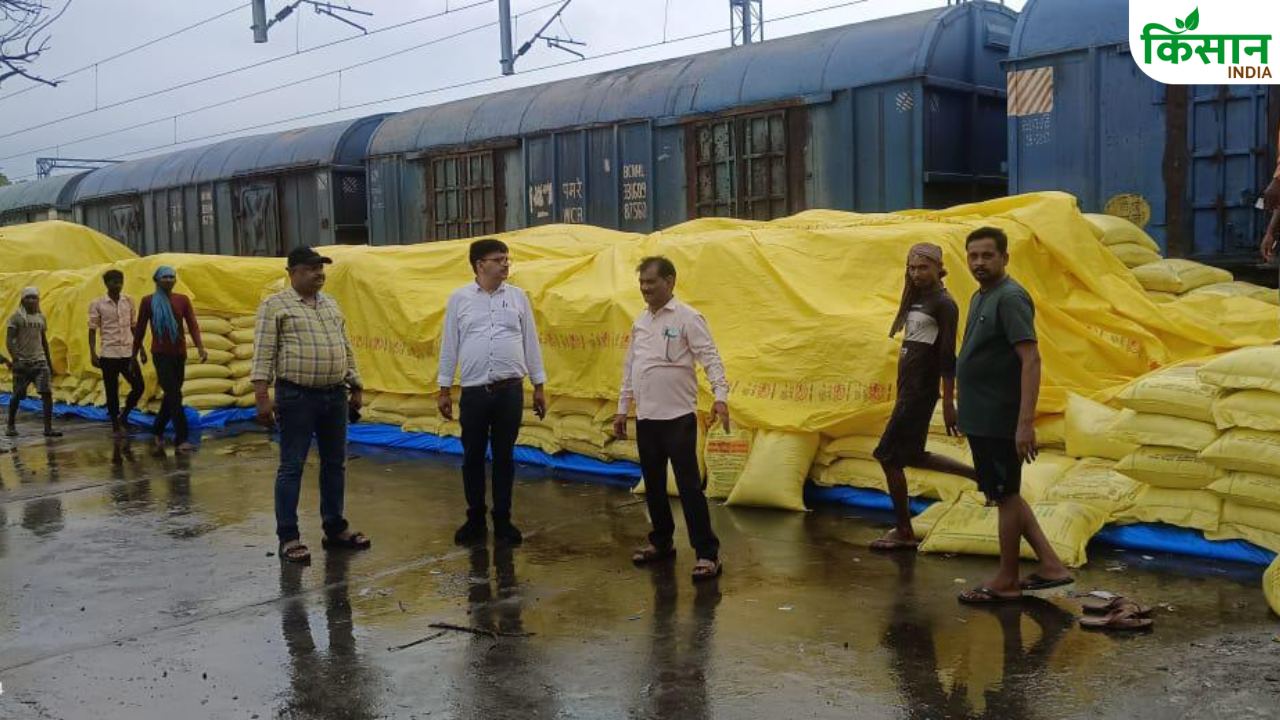 बारिश में भीग गई 25 हजार बोरी यूरिया, छांव की व्यवस्था नहीं कर पाए अफसर.. किसानों पर संकट