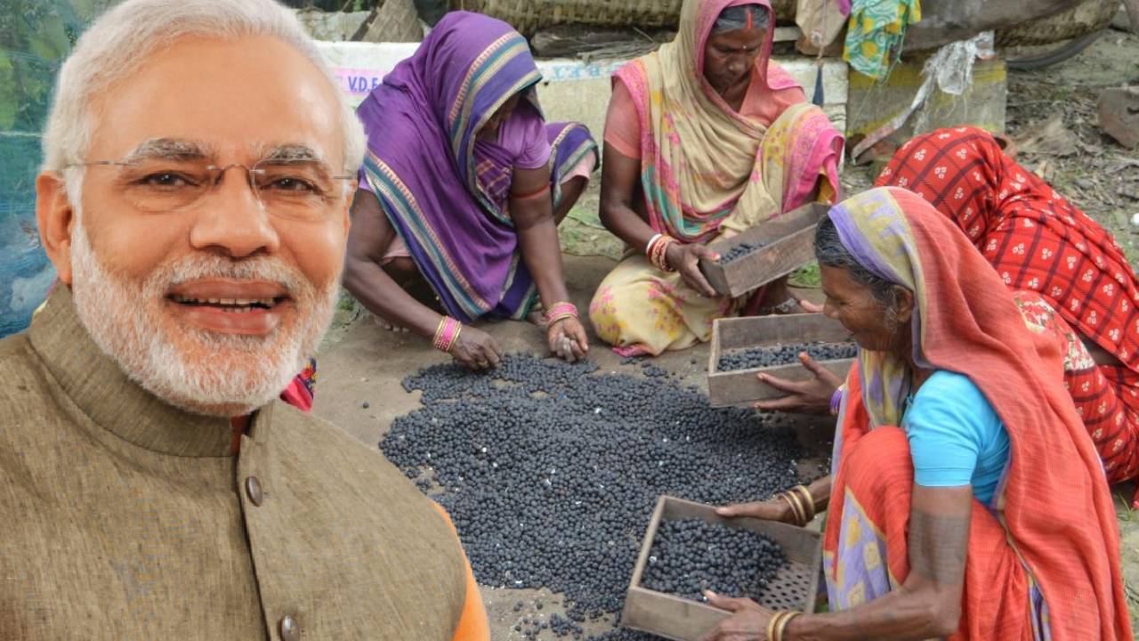 बिहार का मखाना अब इंटरनेशनल सुपरस्टार, पीएम मोदी ने बताया कैसे बदलेगी तस्वीर