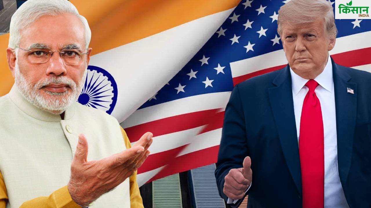 ट्रम्प का बड़ा फैसला: 200 खाद्य उत्पादों पर टैरिफ खत्म, भारत को होगा तगड़ा मुनाफा
