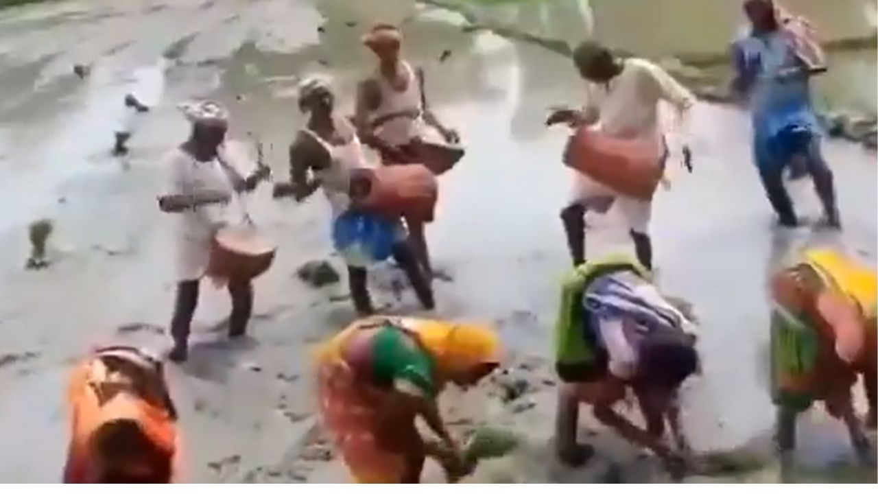 अब सुनने को नहीं मिलता ‘रोपनी गीत’, कभी धान बुवाई के समय गांवों में रहता था जश्न का माहौल