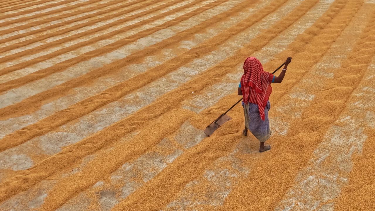 बारिश से 30000 एकड़ फसल चौपट, फिर भी 8.20 लाख टन धान खरीद का है लक्ष्य.. अभी तक इतनी हुई खरीदी