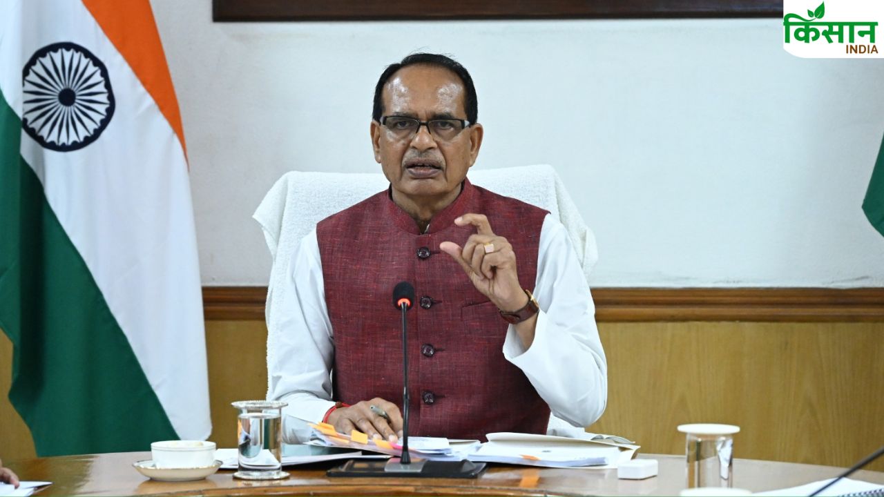 कीटनाशकों की नई रजिस्ट्रेशन गाइडलाइन आएगी! फर्जीवाड़ा रोकने के लिए केंद्र का निर्णय