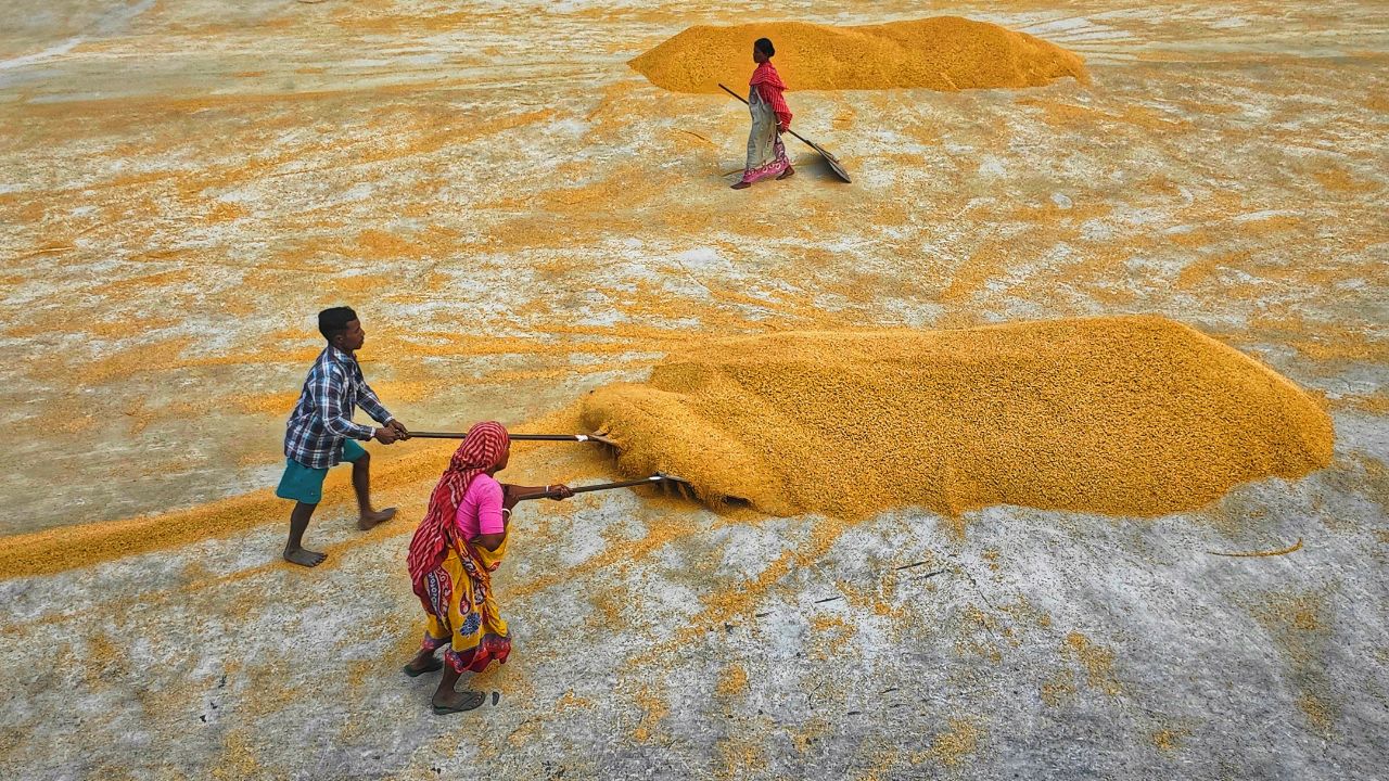PM Kisan के लाभार्थियों को फर्जी मैसेज से सतर्क रहने की सलाह, इस तरह की कॉल से रहें दूर