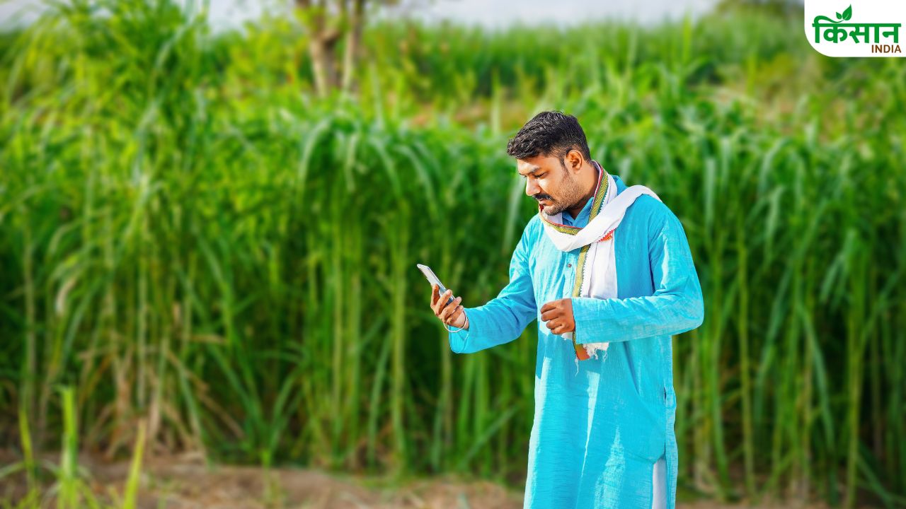 Sugarcane Farmers Payment: गन्ना किसानों के बकाया भुगतान को मंजूरी, सीधे बैंक खाते में पहुंचेगा पैसा