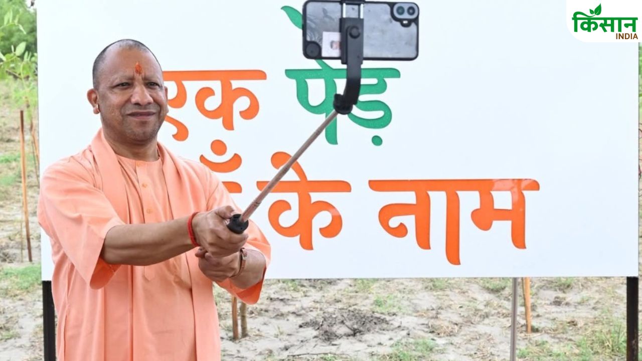 बरगद, नीम और पीपल का कमाल, यूपी ने कैसे हीटवेव को ग्रीनवेव में बदला? सीएम योगी ने बताया