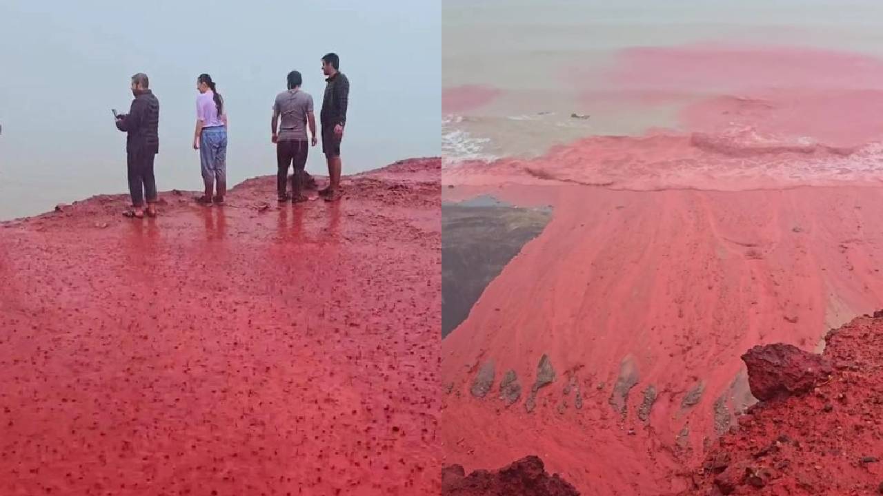 Blood Rain: पानी नहीं, यहां आसमान से बरसी खून जैसी बारिश! जानिए क्या है वजह?