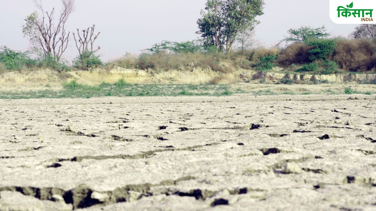 बंजर जमीन में नहीं उग रही कोई फसल तो करें मछली पालन, किसानों की होगी बंपर कमाई