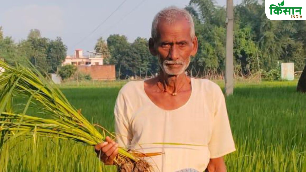 सागौन, नींबू और कहटल के साथ उगाते हैं कई फसलें, 75 की उम्र में लाखों की प्रॉपर्टी बनाकर किसानों के लिए प्रेरणा बने राम प्रताप