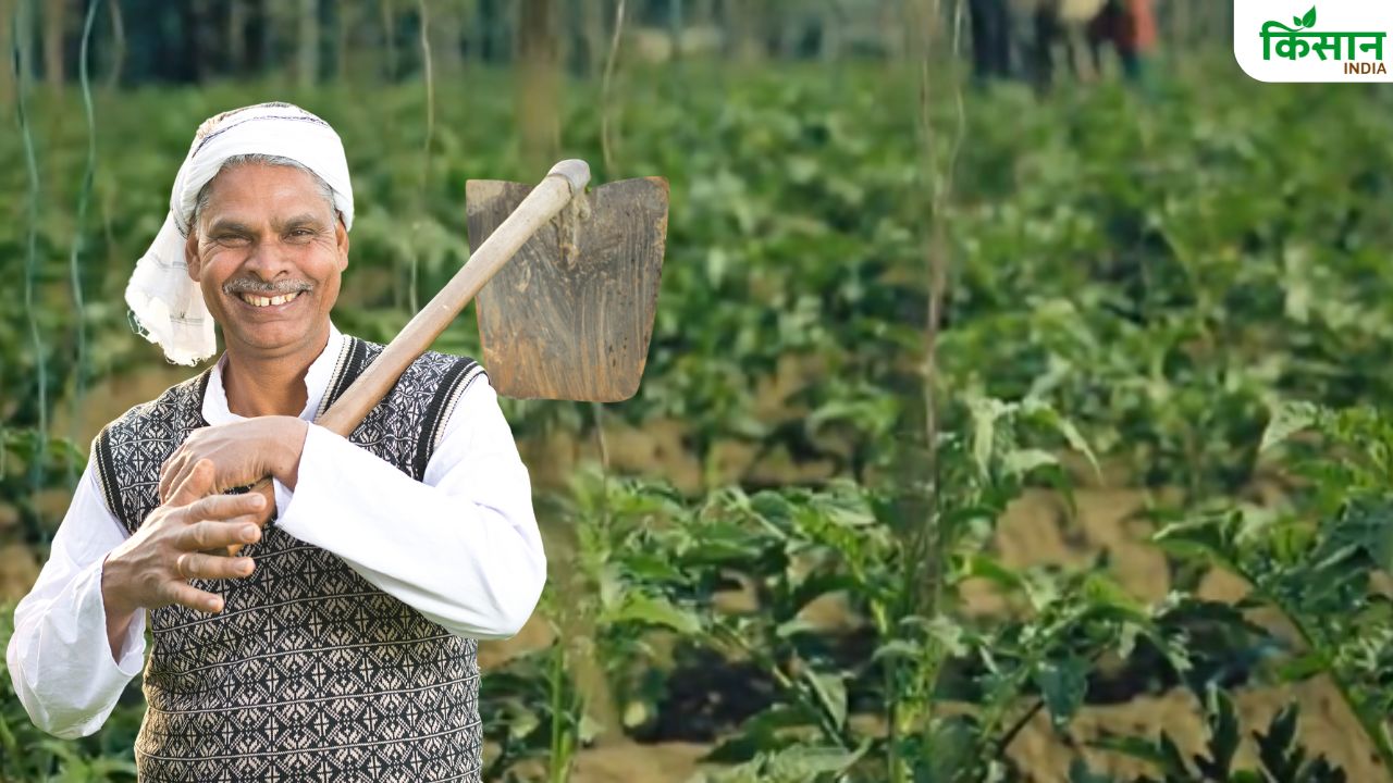 खेत में बीज नहीं उगा या कम हुई पैदावार तो पैसा लौटायेगी सरकार, किसान नजदीकी पैक्स में करें आवेदन