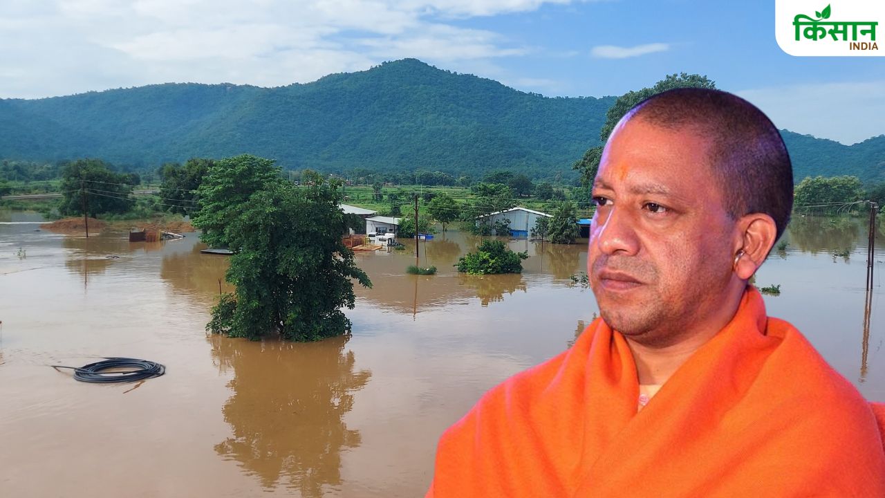 बाढ़ पीड़ितों को मुफ्त राशन.. पशुओं के लिए चारा-भूसा दे रही योगी सरकार, पक्के घर भी देगी
