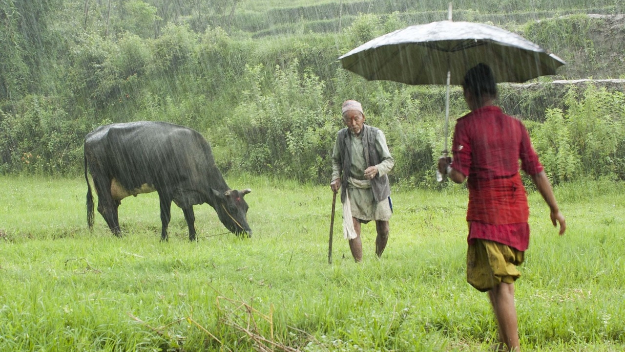 Rain Alert: दिल्ली, MP, राजस्थान में आज हो सकती है बारिश, अलर्ट जारी