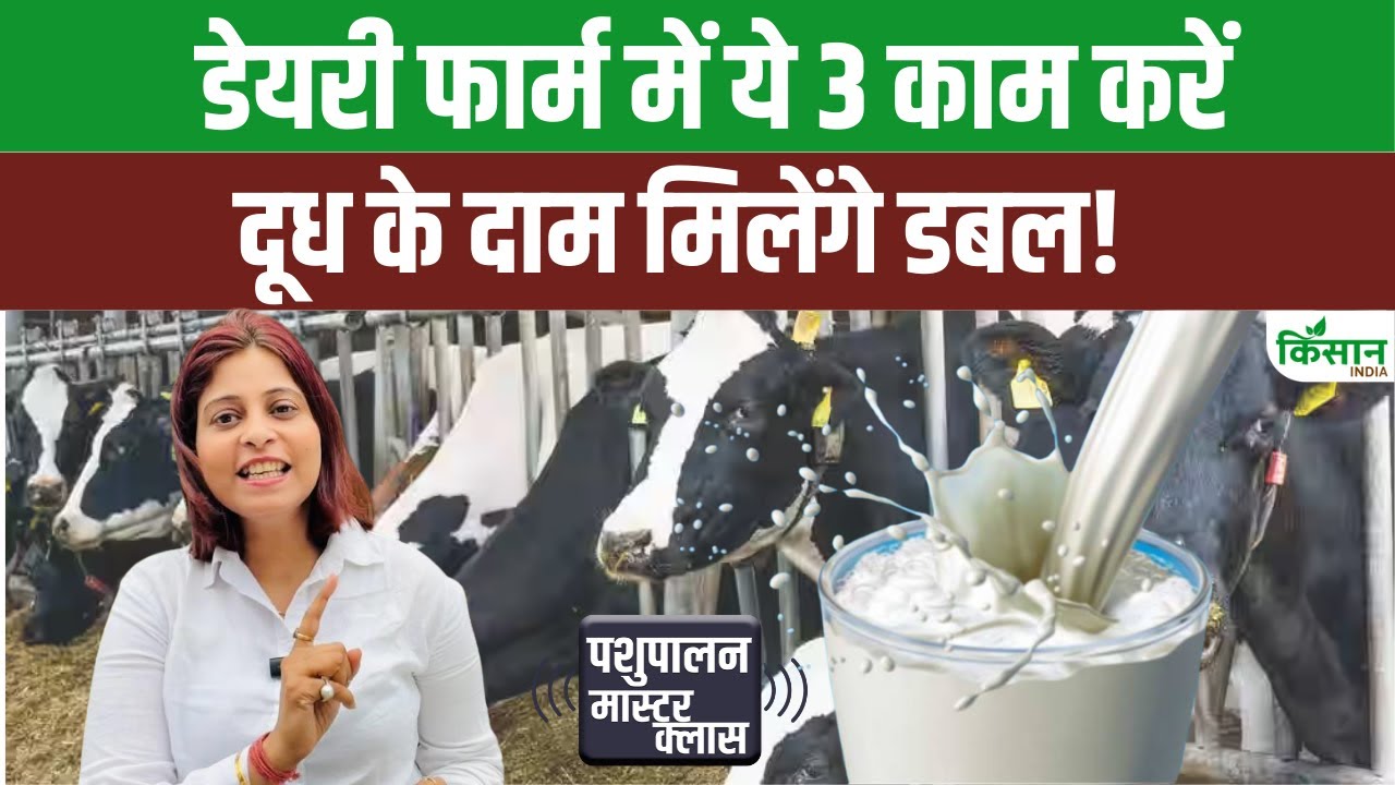 पशुपालक जरूर करें ये 3 काम, बेहतर क्वालिटी के साथ दूध उत्पादन में होगी बढ़ोतरी