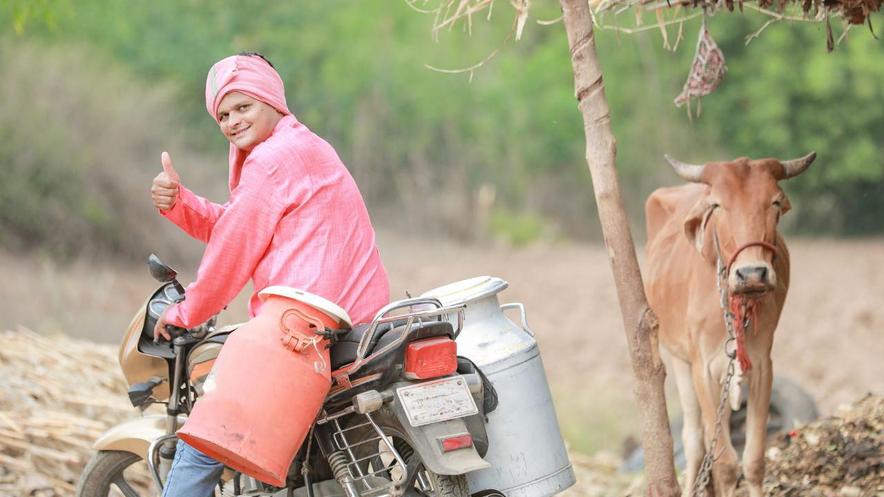 डेयरी किसानों पर मेहरबान हुई सरकार, 3 रुपये ज्यादा दाम देने के साथ 4 नए मिल्क प्लांट बनाने की घोषणा