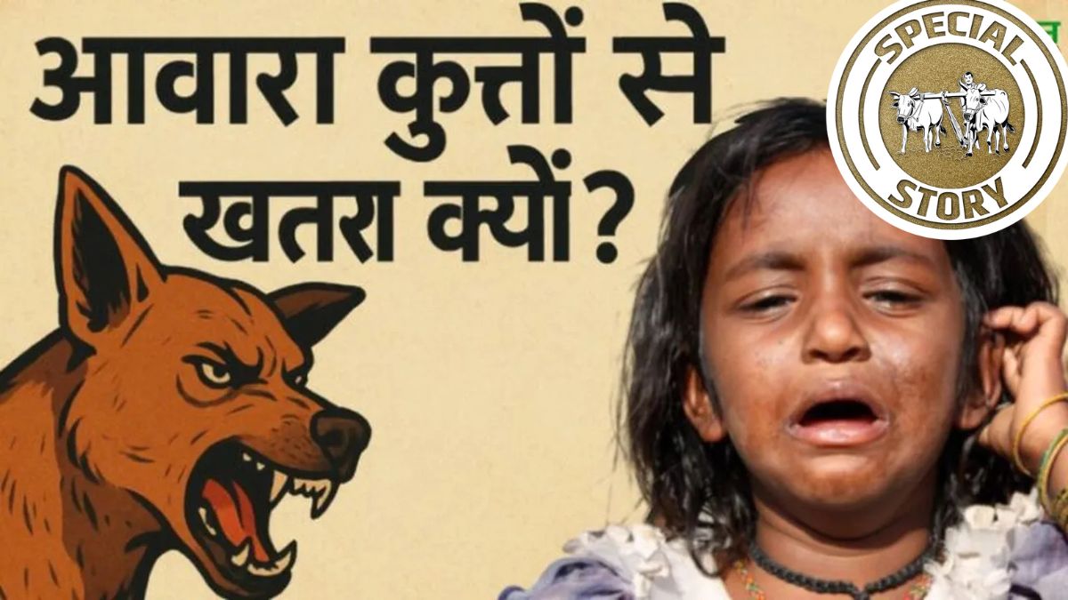 दिल्ली से मुंबई तक: आवारा कुत्तों और रेबीज के खतरनाक आंकड़े, दुनिया के नियम क्या कहते हैं?