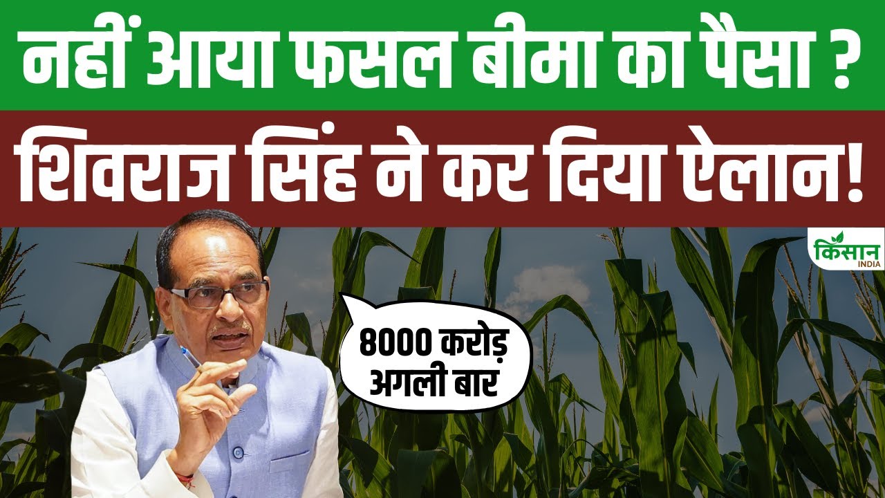 35 लाख किसानों को मोदी सरकार से मिली राहत, खाते में पहुंचे फसल बीमा के 3200 करोड़ रुपये
