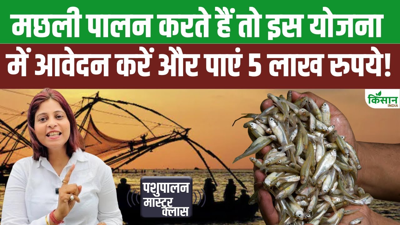 मछली पालकों के लिए सरकार की अहम योजना, बीमा कराने पर मिलेगा 5 लाख का सुरक्षा कवच