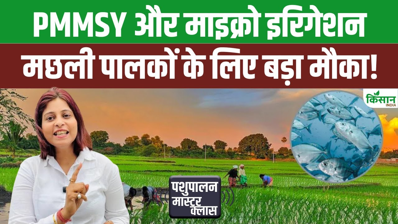 मछली पालकों के लिए बड़ी राहत, माइक्रो इरिगेशन योजना के तहत मिलेगी 40 फीसदी सब्सिडी