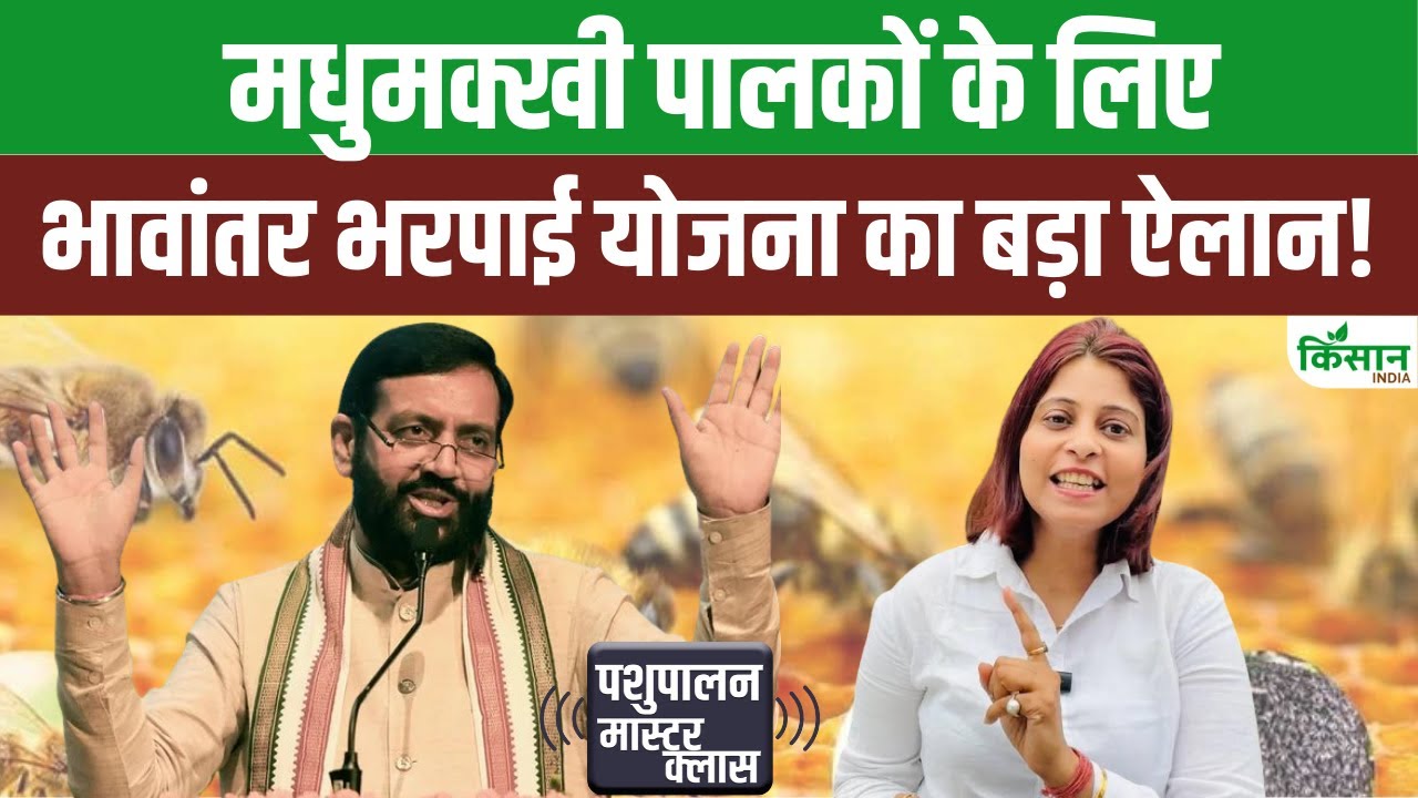 मधुमक्खी पालकों के लिए हरियाणा सरकार का बड़ा कदम, शहद को मिलेगा भावांतर भरपाई का सुरक्षा कवच