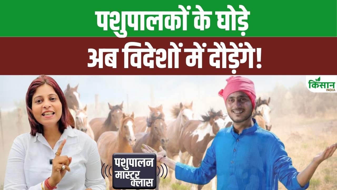 Horse Farming: भारत के घोड़े अब इंटरनेशनल गेम्स में, किसानों को मिलेगा निर्यात और कमाई का मौका