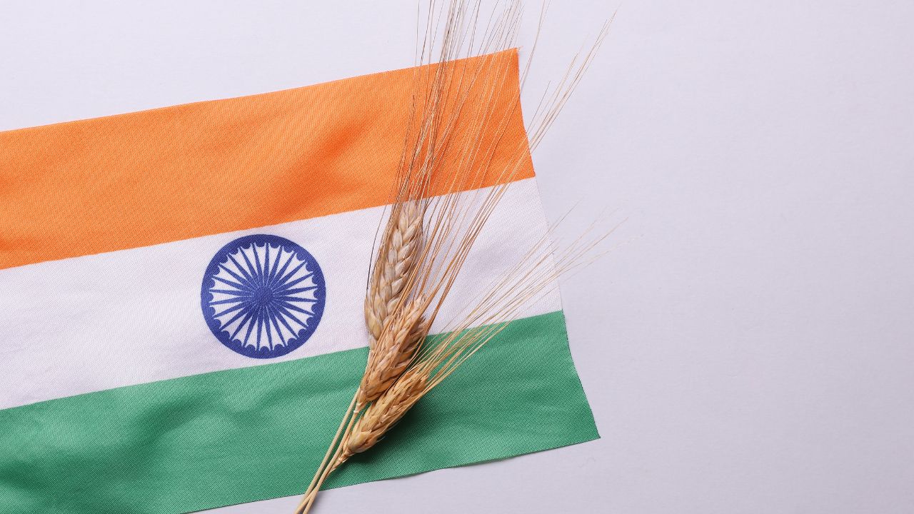 Opinion: नॉनवेज डेयरी प्रोडक्ट- भारत के लिए आस्था और अमेरिका के लिए क्या है अहमियत 